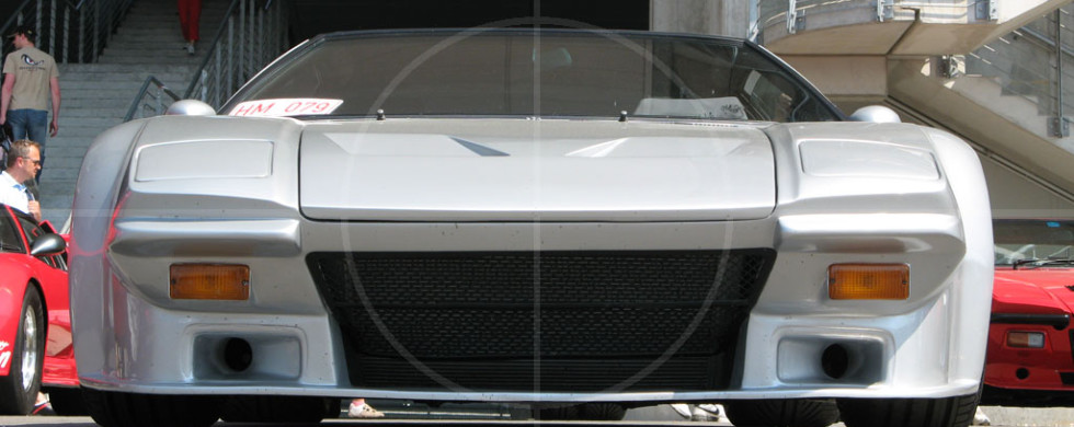 DeTomas Pantera | Drive-by Snapshots by Sebastian Motsch (2007)