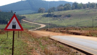 Yellow Elephant South Africa | Drive-by Snapshots by Sebastian Motsch (2007)