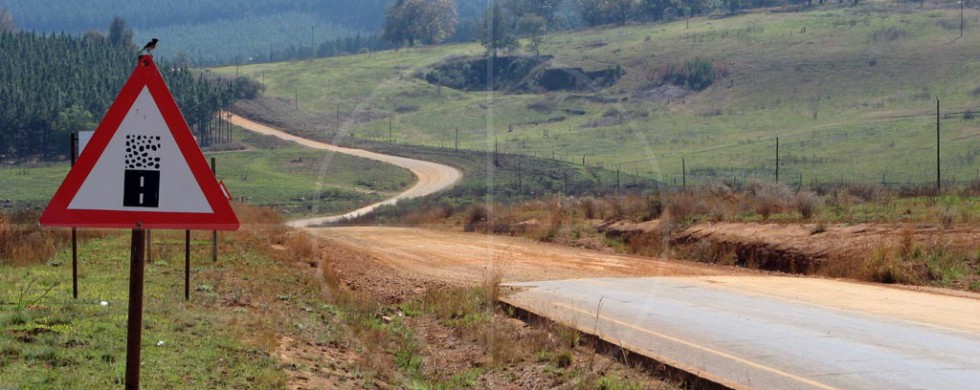 Yellow Elephant South Africa | Drive-by Snapshots by Sebastian Motsch (2007)